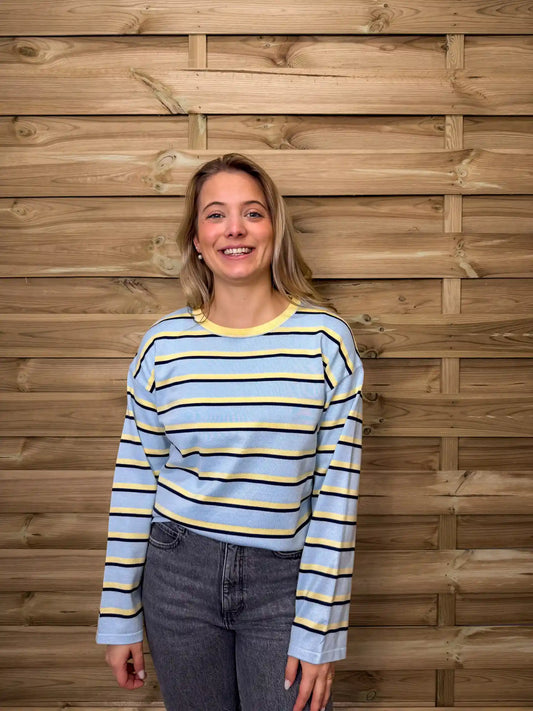 Langarmshirt "Breeze" Hellblau